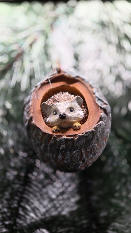 🎄